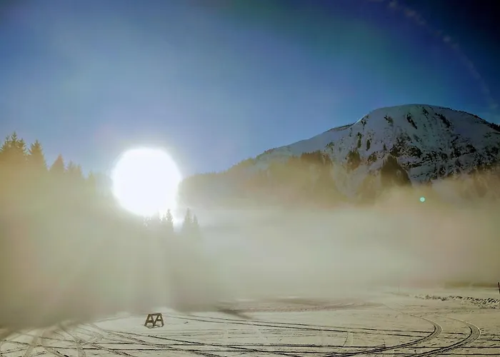 Bed & Breakfast Gaestehaus Branders 3*