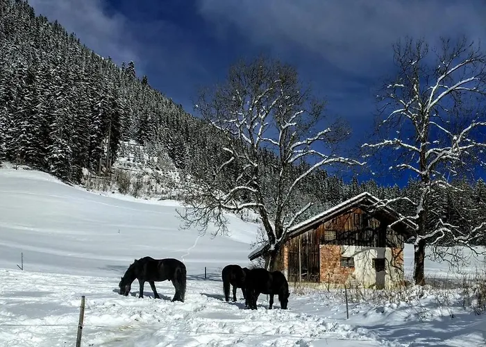 Gaestehaus Branders 3*